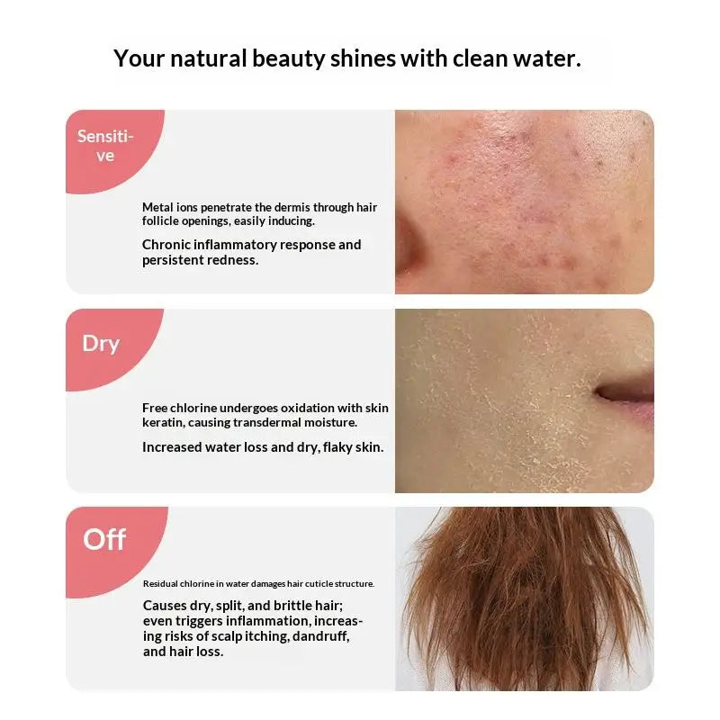 Beauty Shower Filter