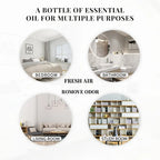 Dreamscape Essential Oil Collection