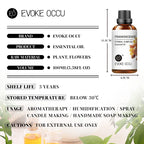 Dreamscape Essential Oil Collection
