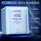 B5 Barrier Repair Mask 10 Pack