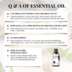 Dreamscape Essential Oil Collection