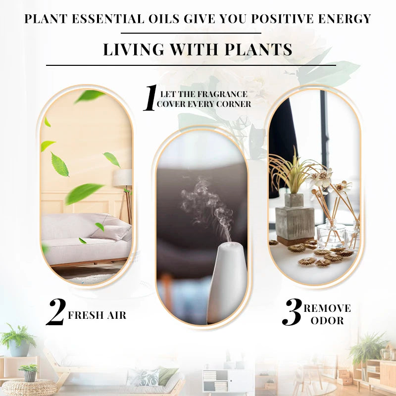 Dreamscape Essential Oil Collection