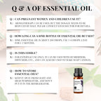 Dreamscape Essential Oil Collection
