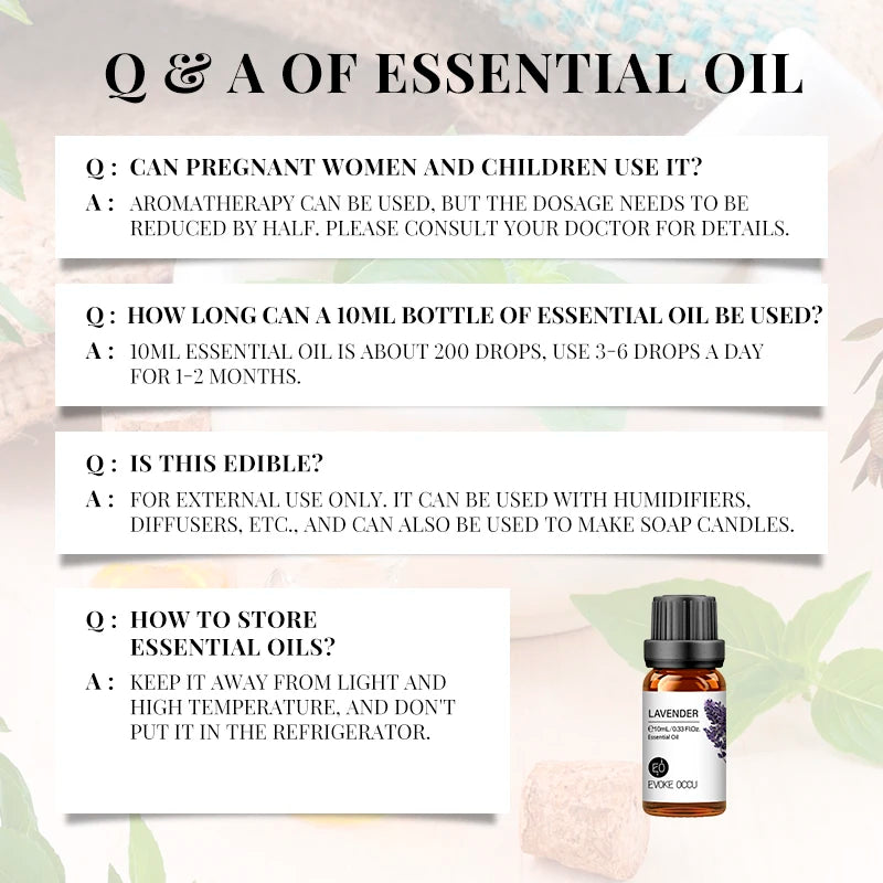 Dreamscape Essential Oil Collection