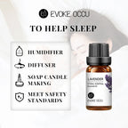 Dreamscape Essential Oil Collection