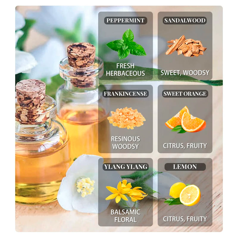 Dreamscape Essential Oil Collection